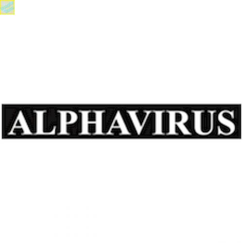 Alphavirus- Hybrid Nikotinsalz Liquid